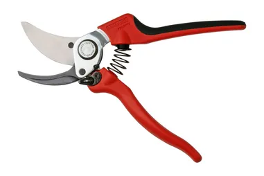 Pruning Shear